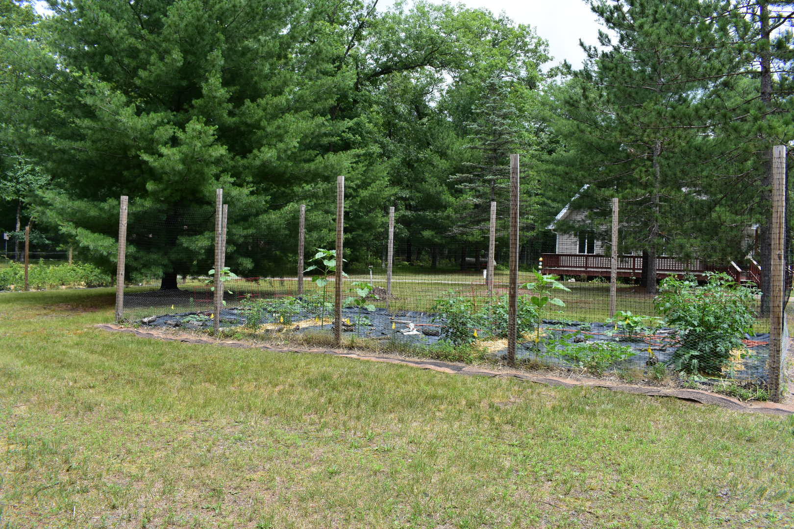 8638 South Mac Road Baldwin, MI 49304 - Photo 13 of 77 gardens 2