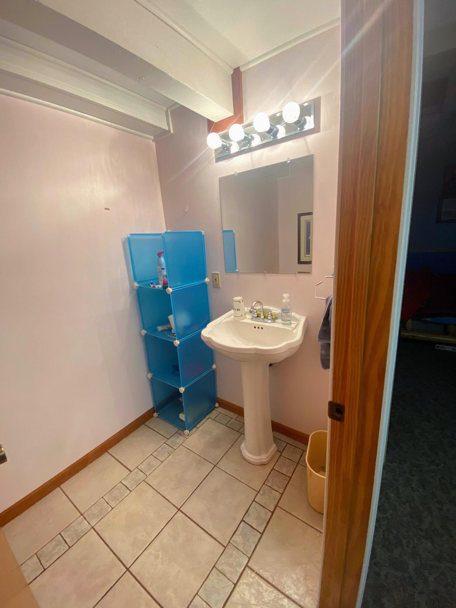 11503 East 72nd Street Reed City, MI 49677 - Photo 21 of 34 Basement bathroom