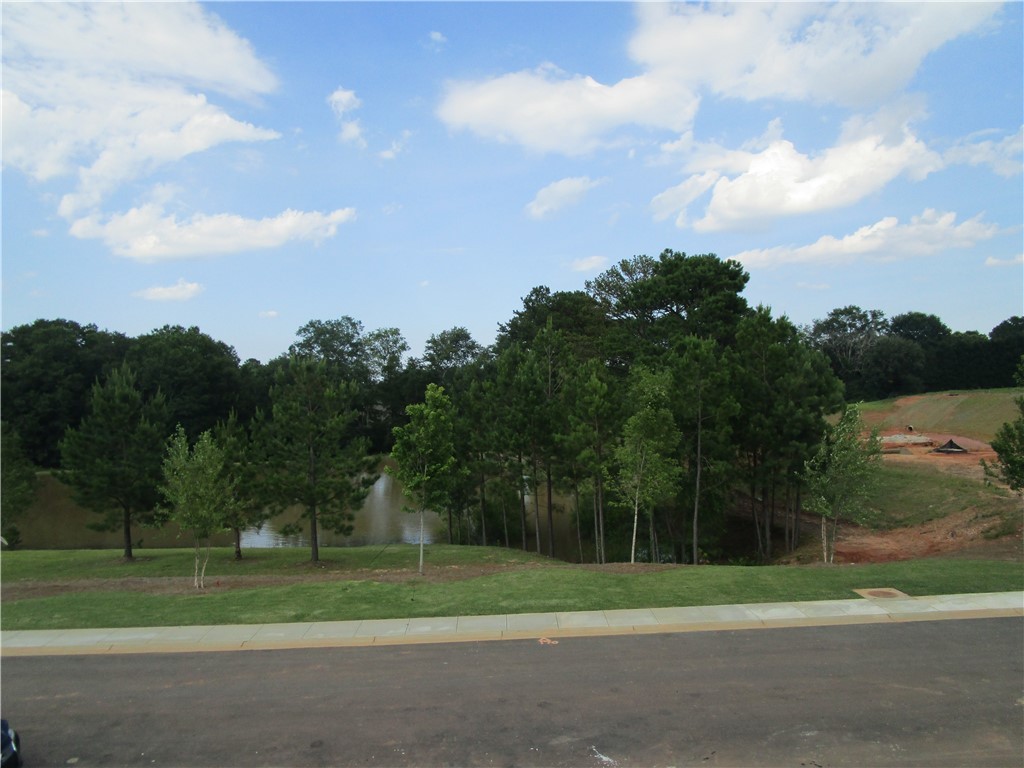 106 Tiger Pond Road, Unit LOT 4 Easley, SC 29640 - Photo 11 of 28 Gallery Image 11