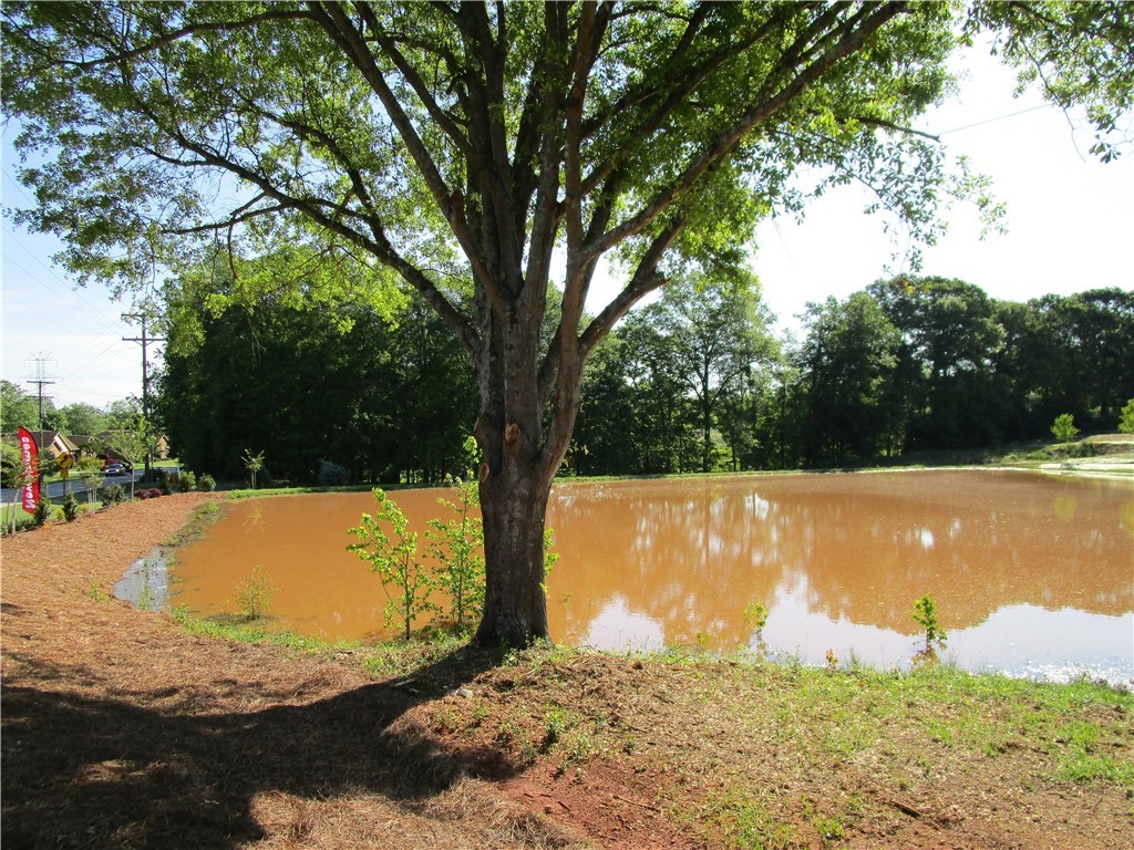 106 Tiger Pond Road, Unit LOT 4 Easley, SC 29640 - Photo 22 of 28 Lake