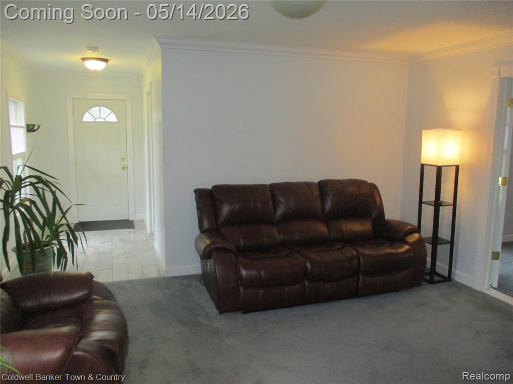4610 Van Amberg Road Brighton, MI 48114 - Photo 9 of 42 Gallery Image 9