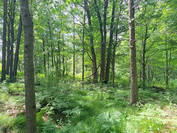 $64,900 | 10-acres 10-acres Peterson Road, Ladysmith, WI 54848