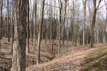 15615 Maillard Road Guys Mills, PA 16327 - Photo 25 of 27