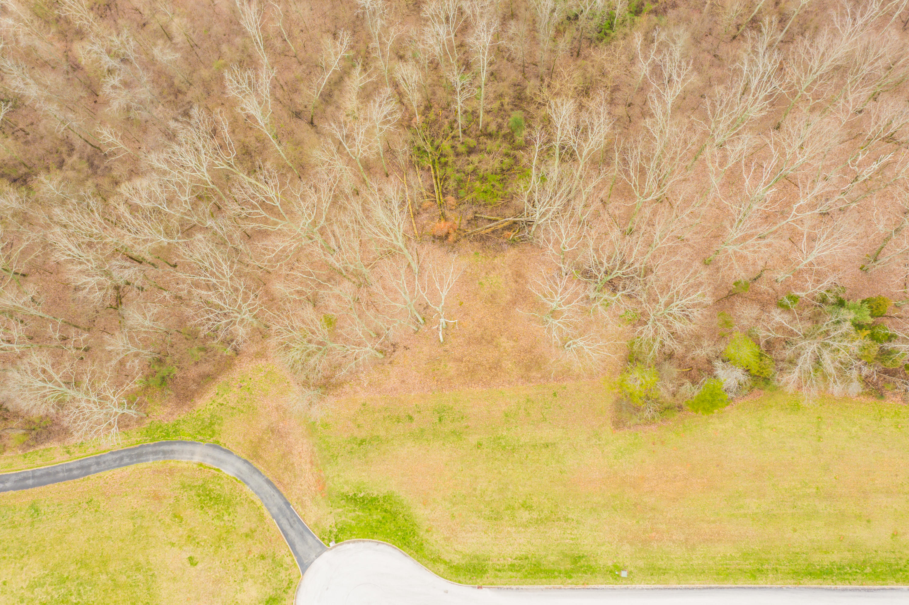2364 James Ridge Road Loudon, TN 37774 - Photo 4 of 22 2364JamesRidge-5