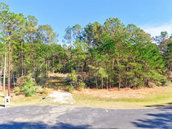 $135,000 | 17539 Julianne Drive, Waller, TX 77484