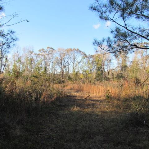 W Side West Side Garner Summit Summit, MS 39666 - Photo 1 of 4 Main View