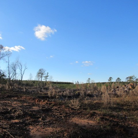 W Side West Side Garner Summit Summit, MS 39666 - Photo 2 of 4 Photo 2