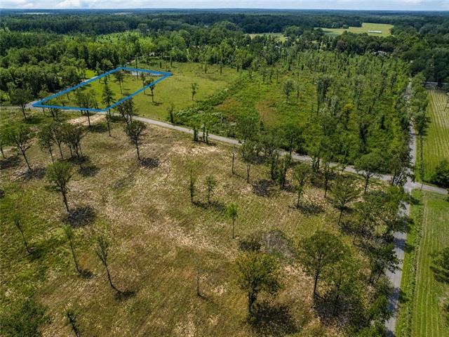 Tbd2 Bethel Road Deville, LA 71328 - Photo 1 of 8 Gallery Image 1