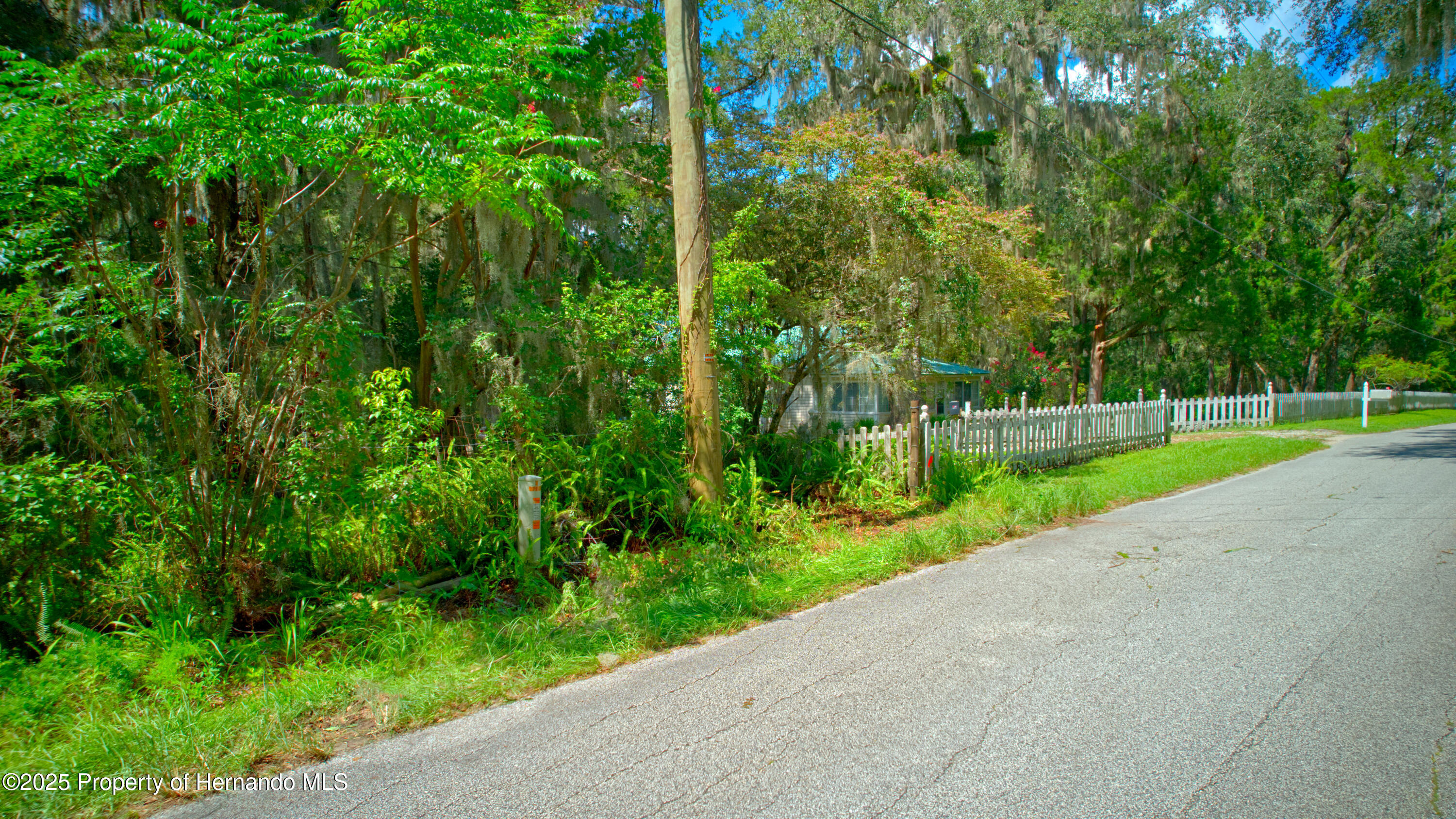 0 Whitman Road Brooksville, FL 34601 - Photo 10 of 30