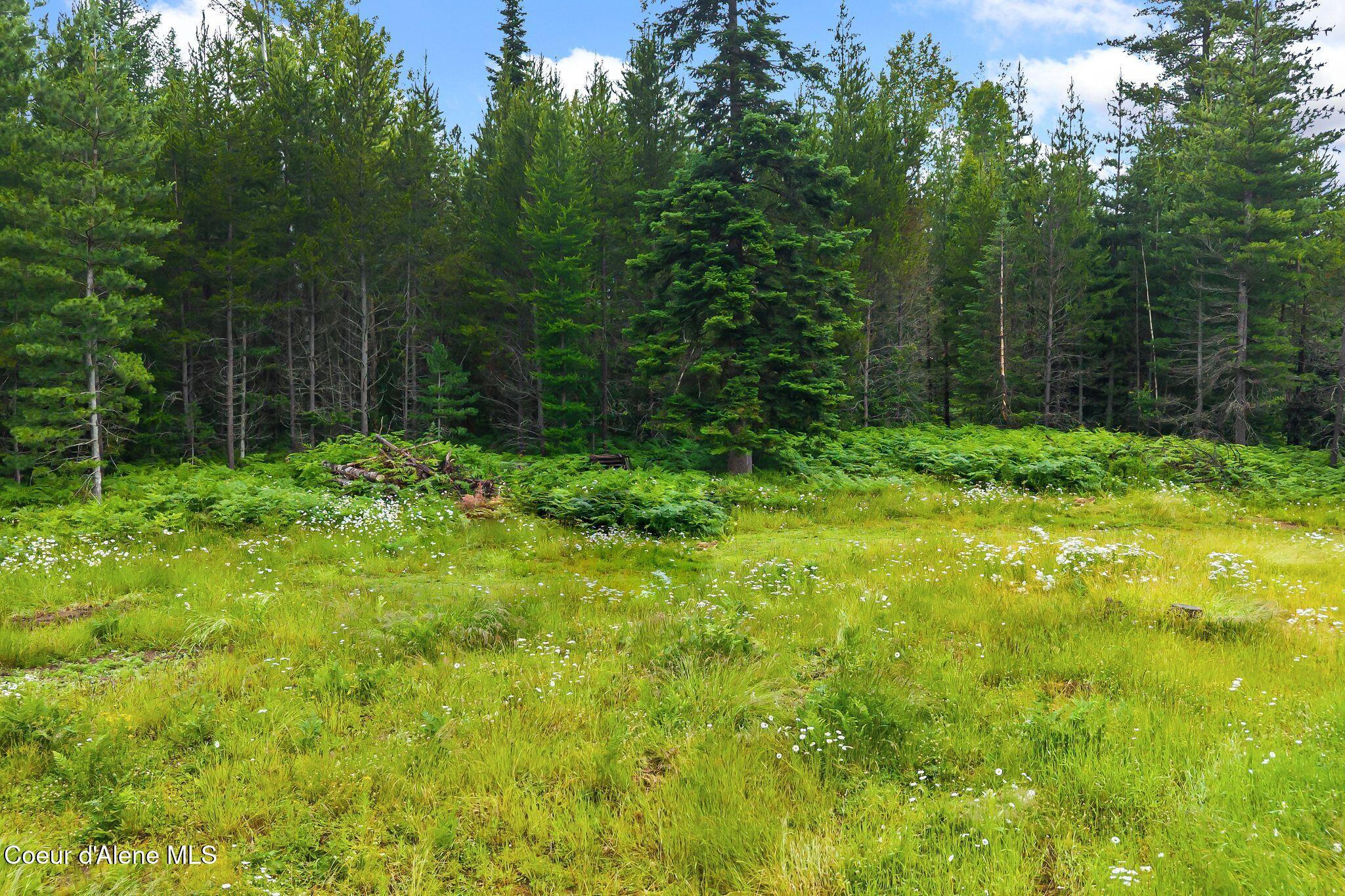 840 Artisan Way Sandpoint, ID 83864 - Photo 38 of 57 41_DJI_20260701053839_0446_D