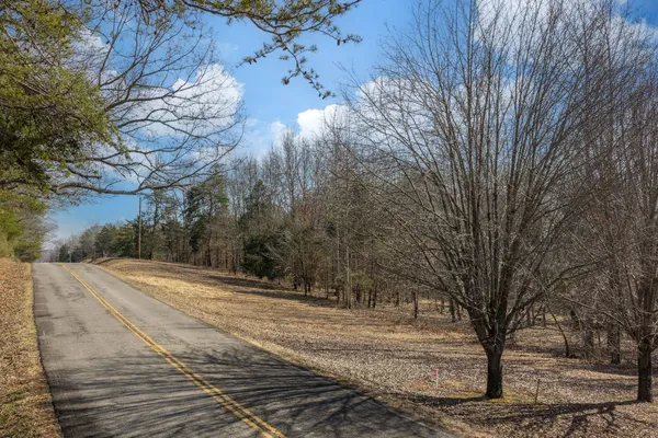 a view of a yard with large trees