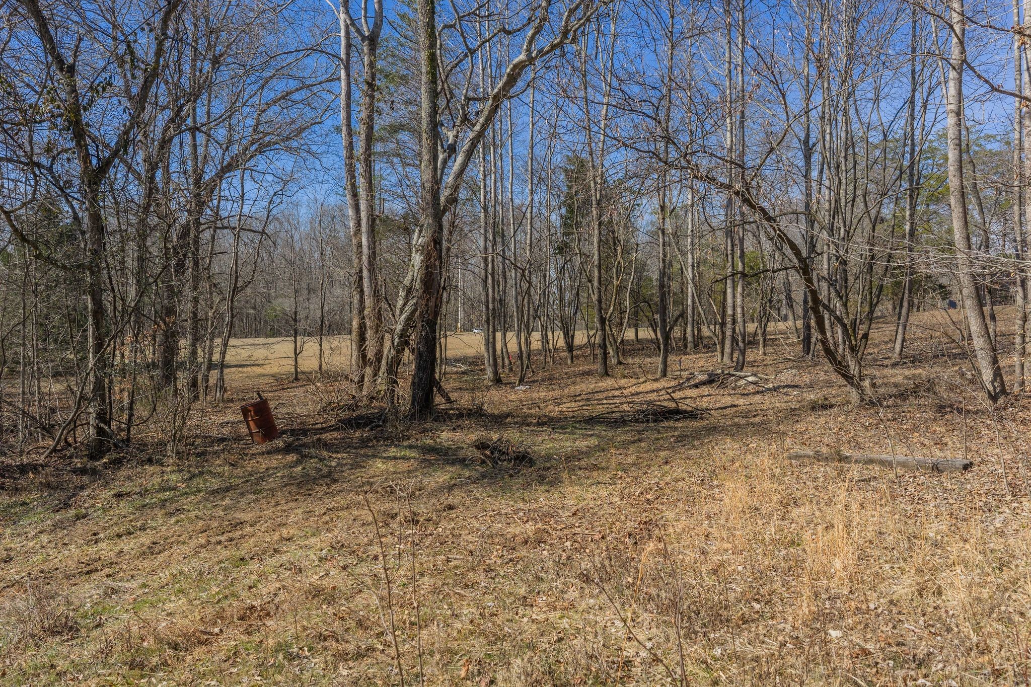 0 Deal Road Burns, TN 37029 - Photo 13 of 18 Gallery Image 13