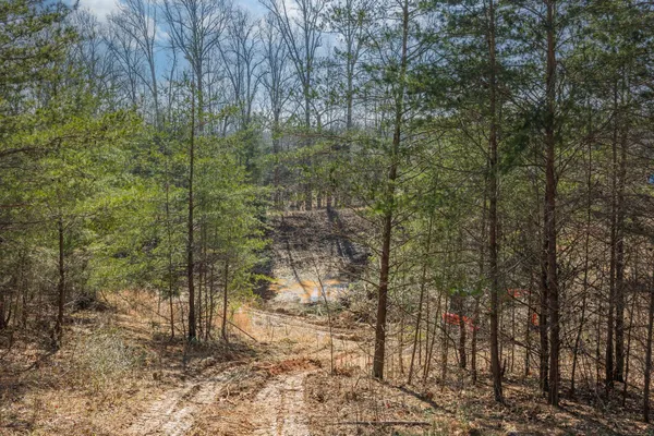 a view of road with trees