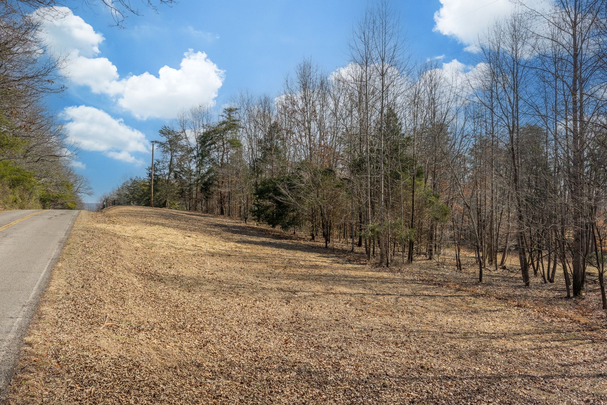 0 Deal Road Burns, TN 37029 - Photo 18 of 18 Gallery Image 18