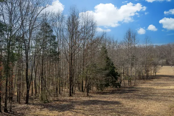 a backyard of a house with lots of trees
