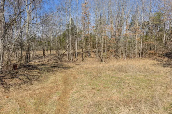 a backyard of a house with a trees