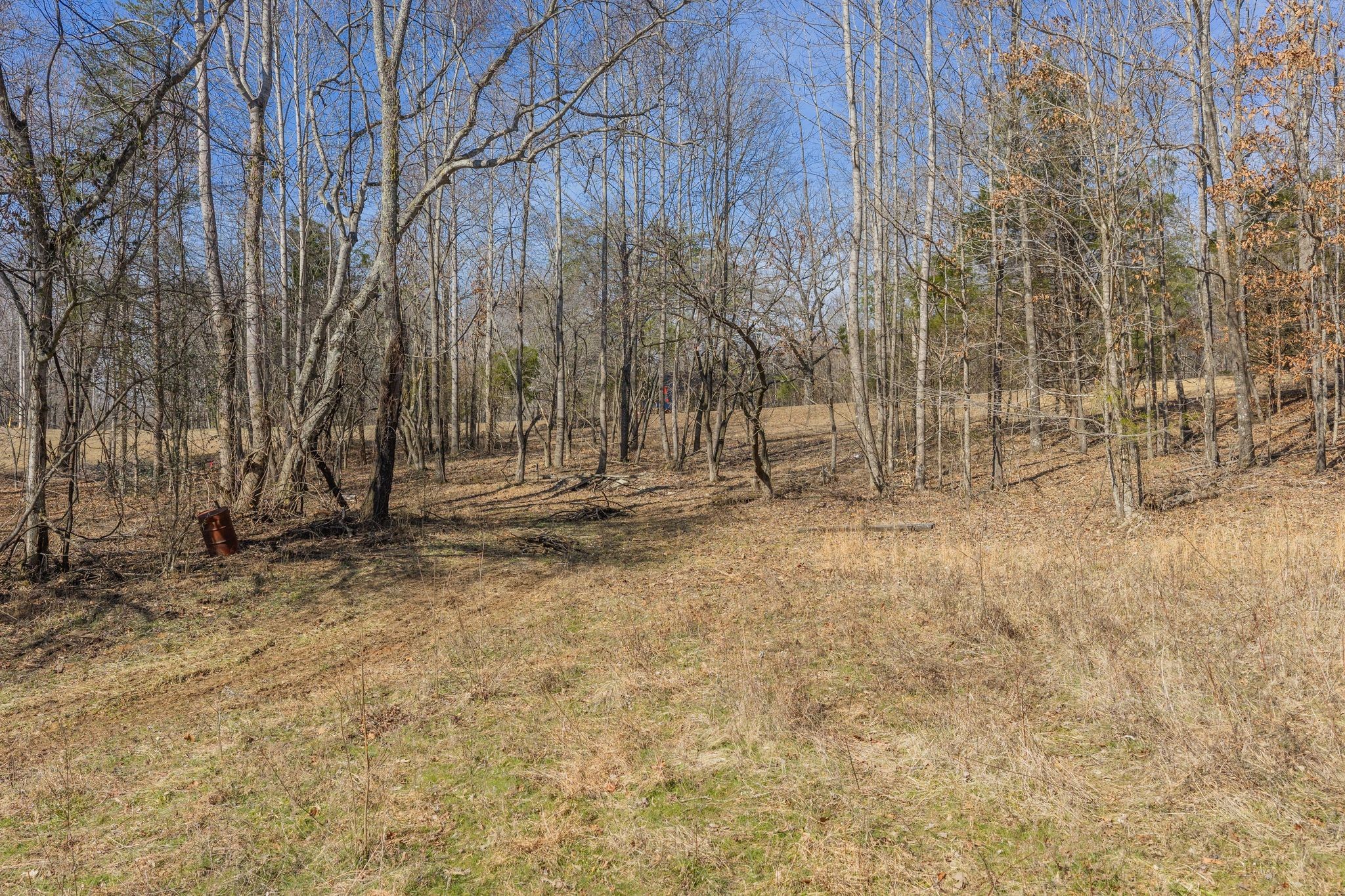 0 Deal Road Burns, TN 37029 - Photo 8 of 18 Gallery Image 8