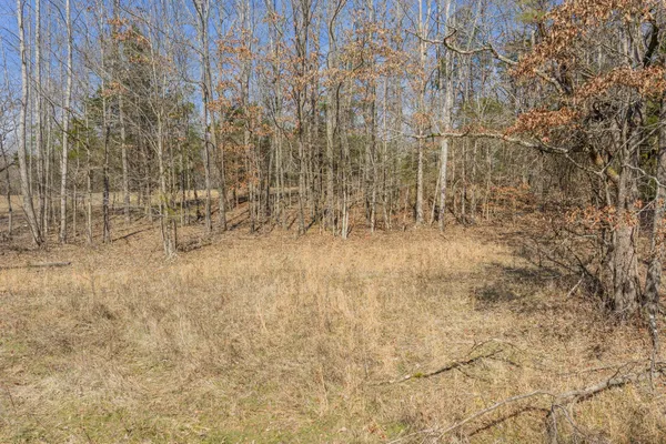 a view of empty space with trees