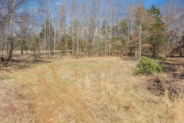 a view of a backyard of the house