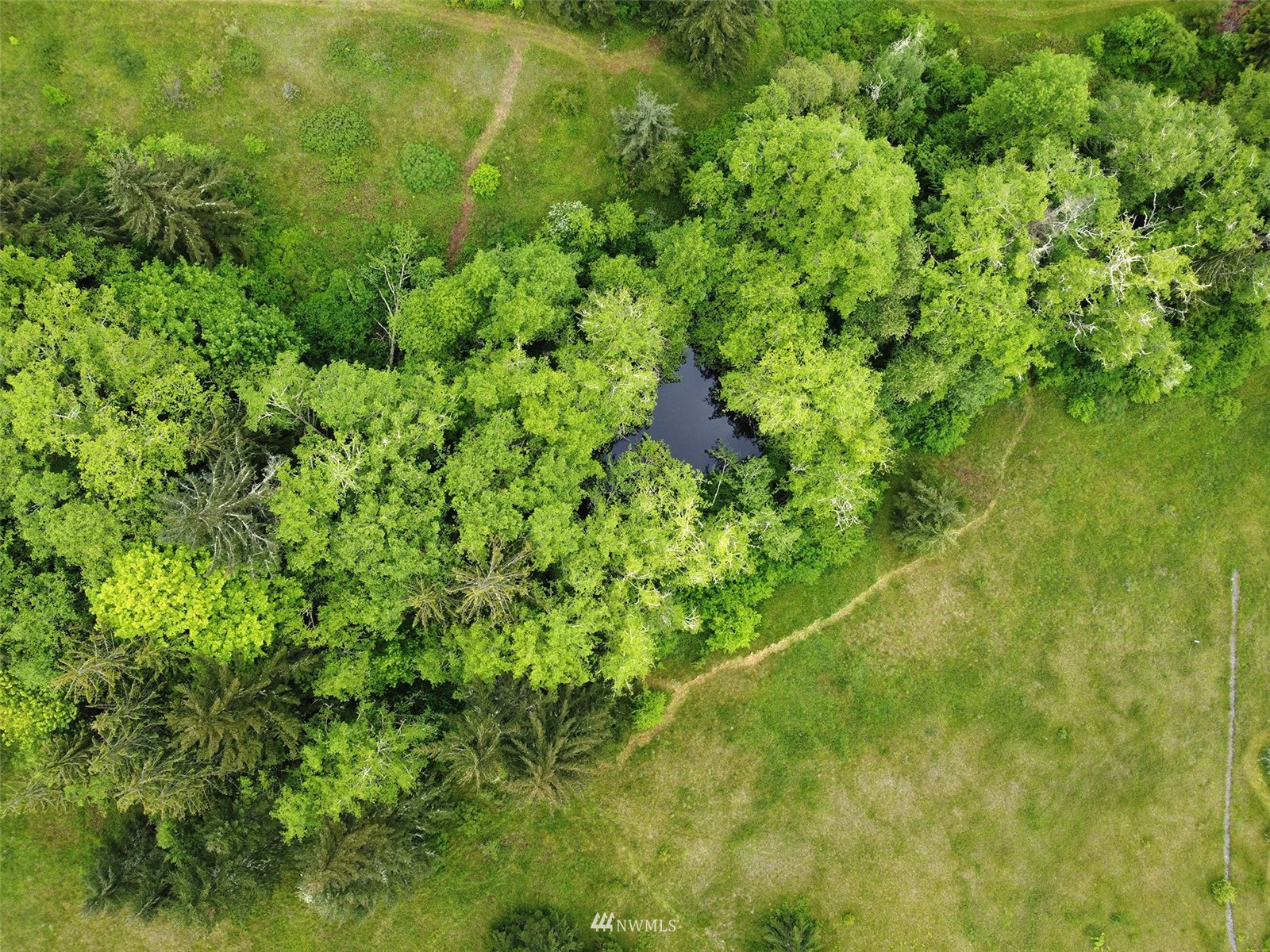 -xx Happy Valley Road Sequim, WA 98382 - Photo 2 of 8 a view of a lush green space