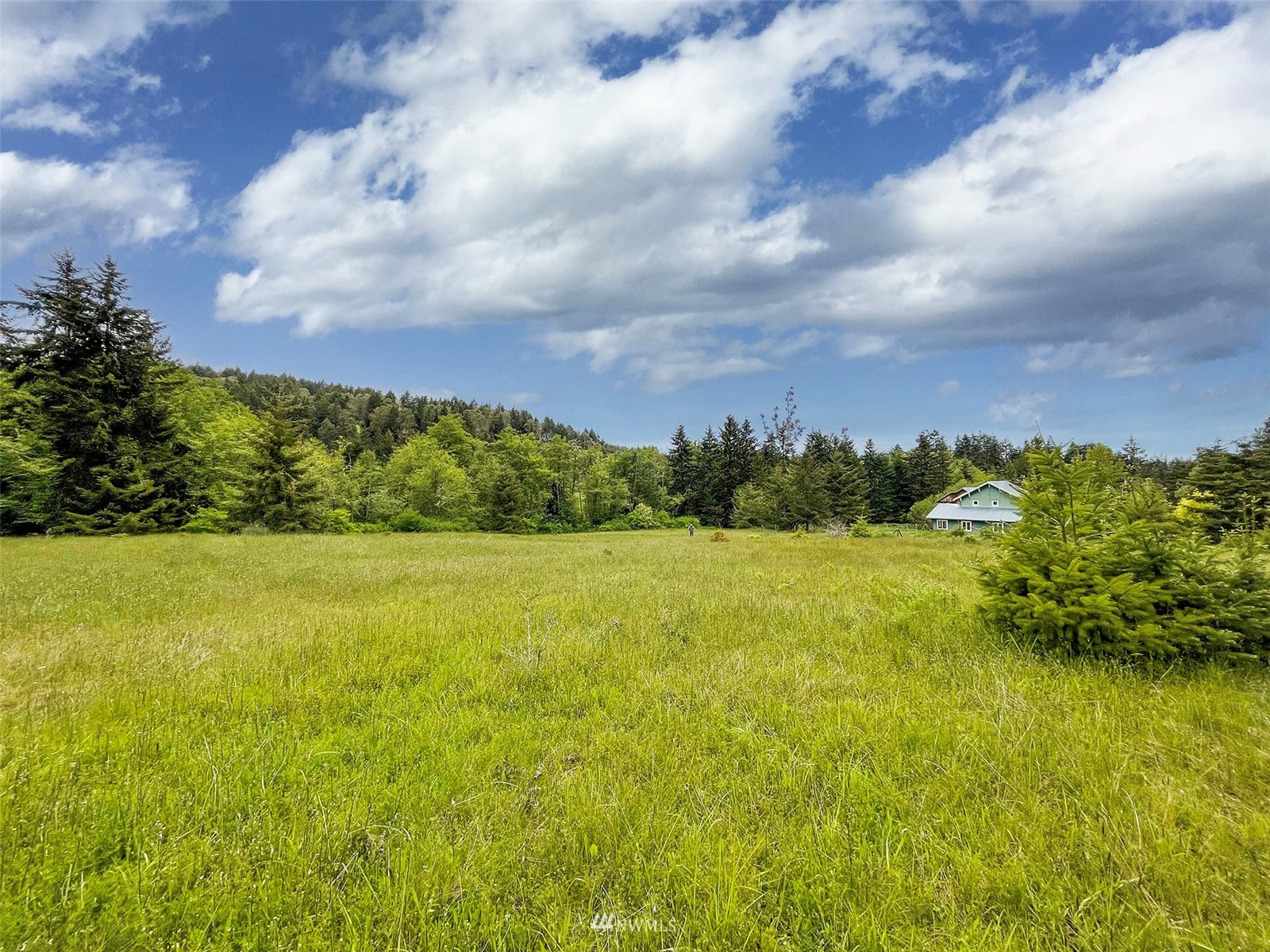 -xx Happy Valley Road Sequim, WA 98382 - Photo 4 of 8 a view of an ocean and beach