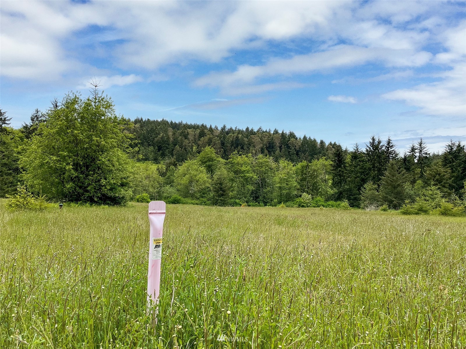 -xx Happy Valley Road Sequim, WA 98382 - Photo 6 of 8 a view of a big yard with plants and large trees