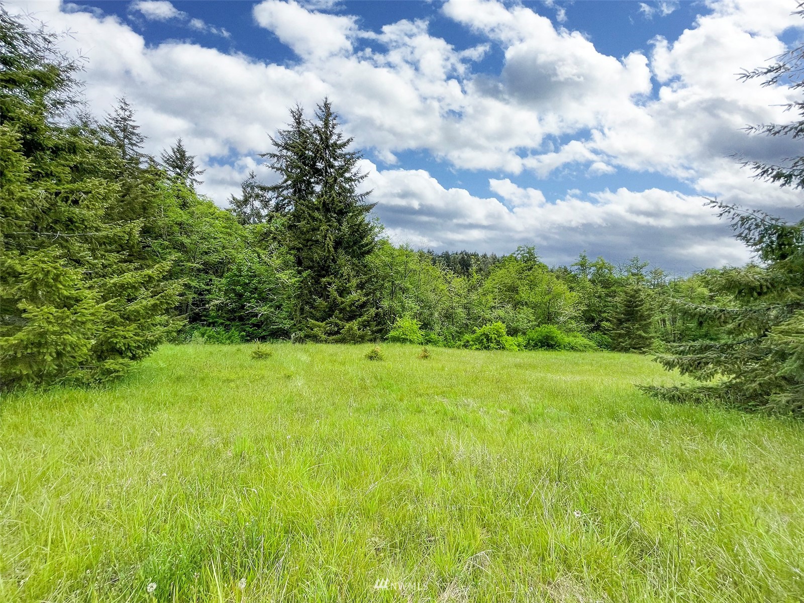 -xx Happy Valley Road Sequim, WA 98382 - Photo 8 of 8 a view of outdoor space and yard