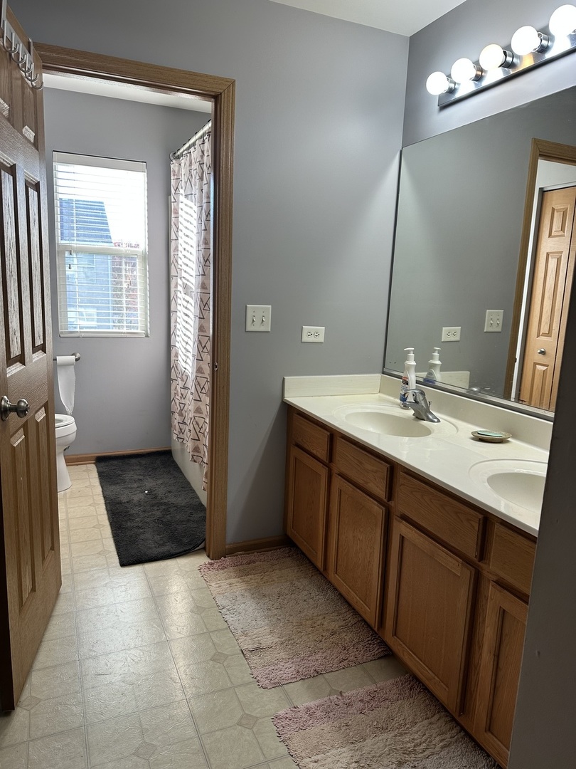 1313 Roth Drive Joliet, IL 60431 - Photo 22 of 22 a bathroom with a sink a vanity and a mirror