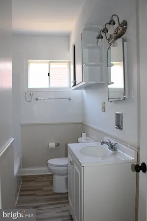 a bathroom with a sink a toilet and mirror