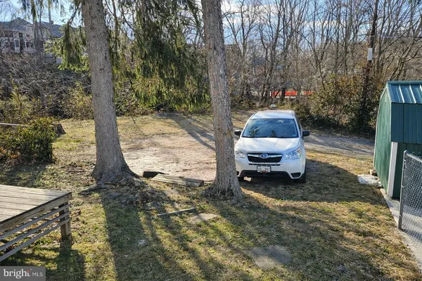 a view of a yard with large trees