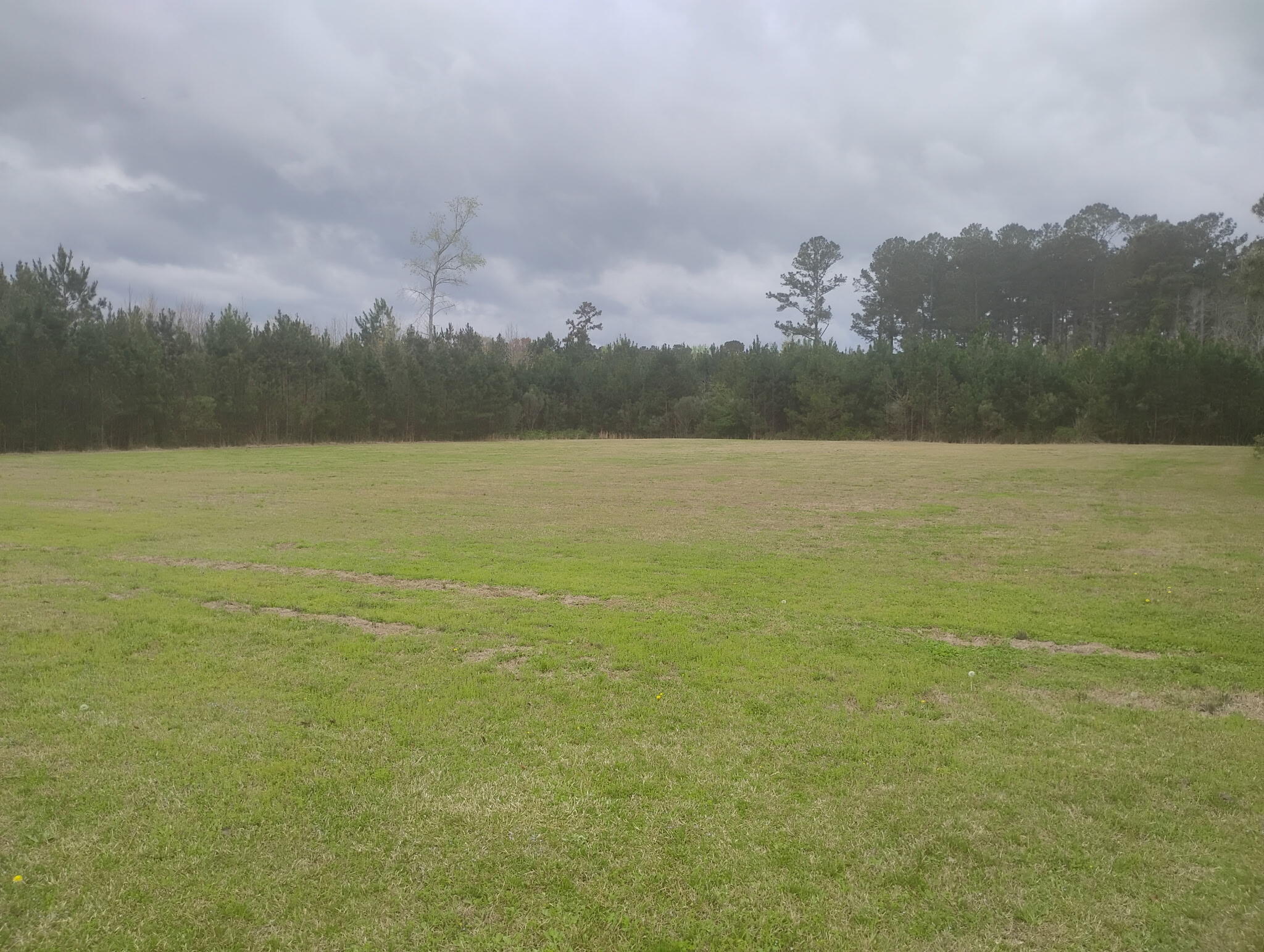 2 Davis Terrace St. George, SC 29477 - Photo 1 of 3 IMG_6811