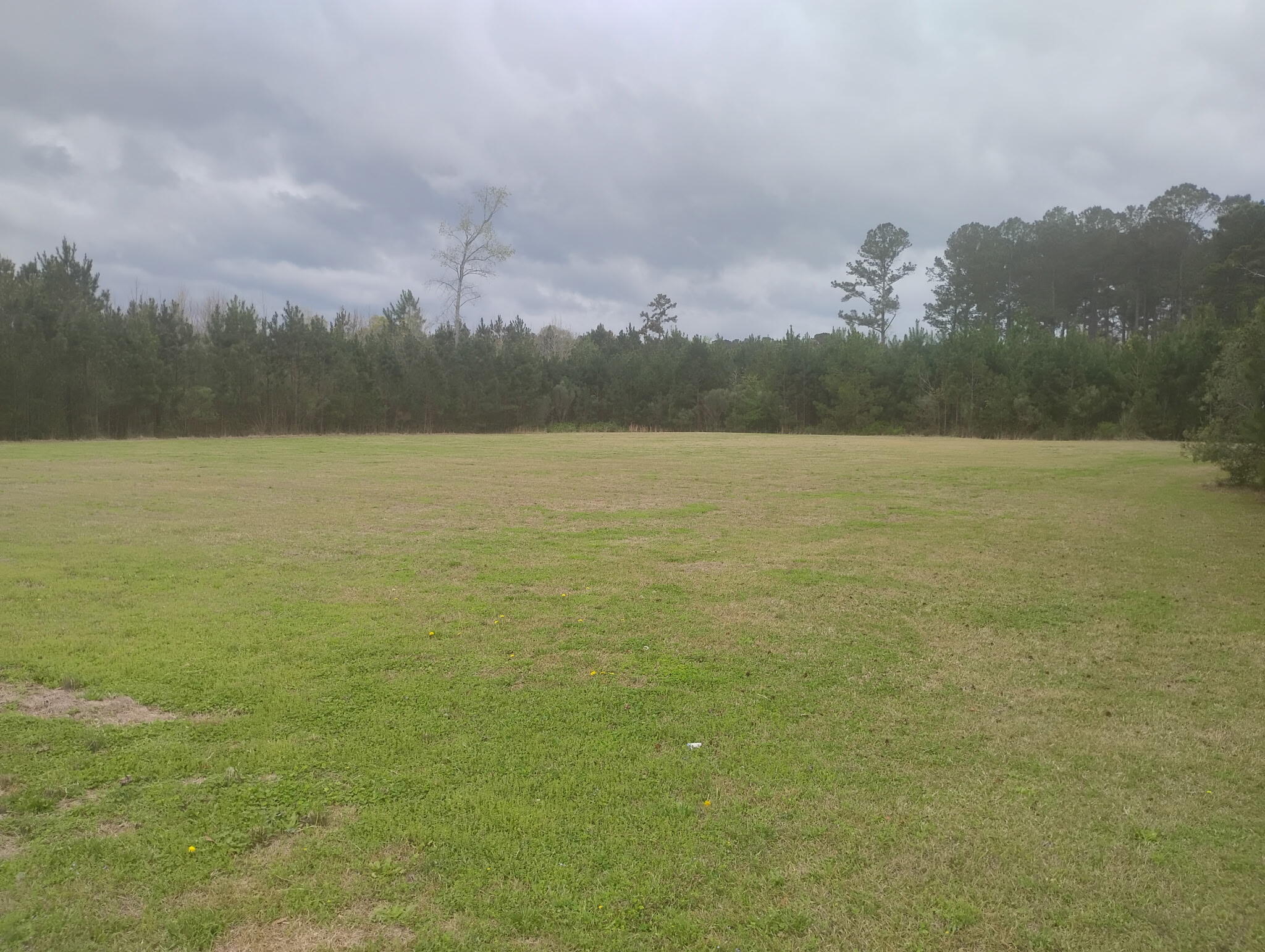 2 Davis Terrace St. George, SC 29477 - Photo 2 of 3 IMG_6809