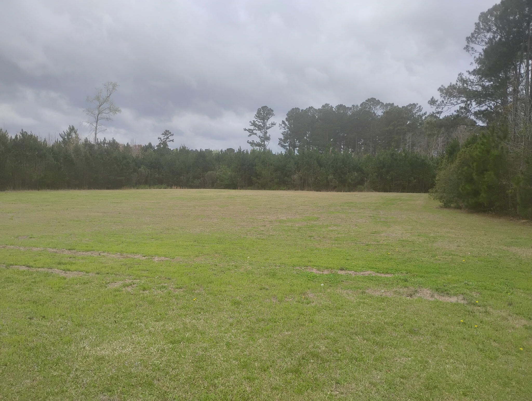 2 Davis Terrace St. George, SC 29477 - Photo 3 of 3 IMG_6810