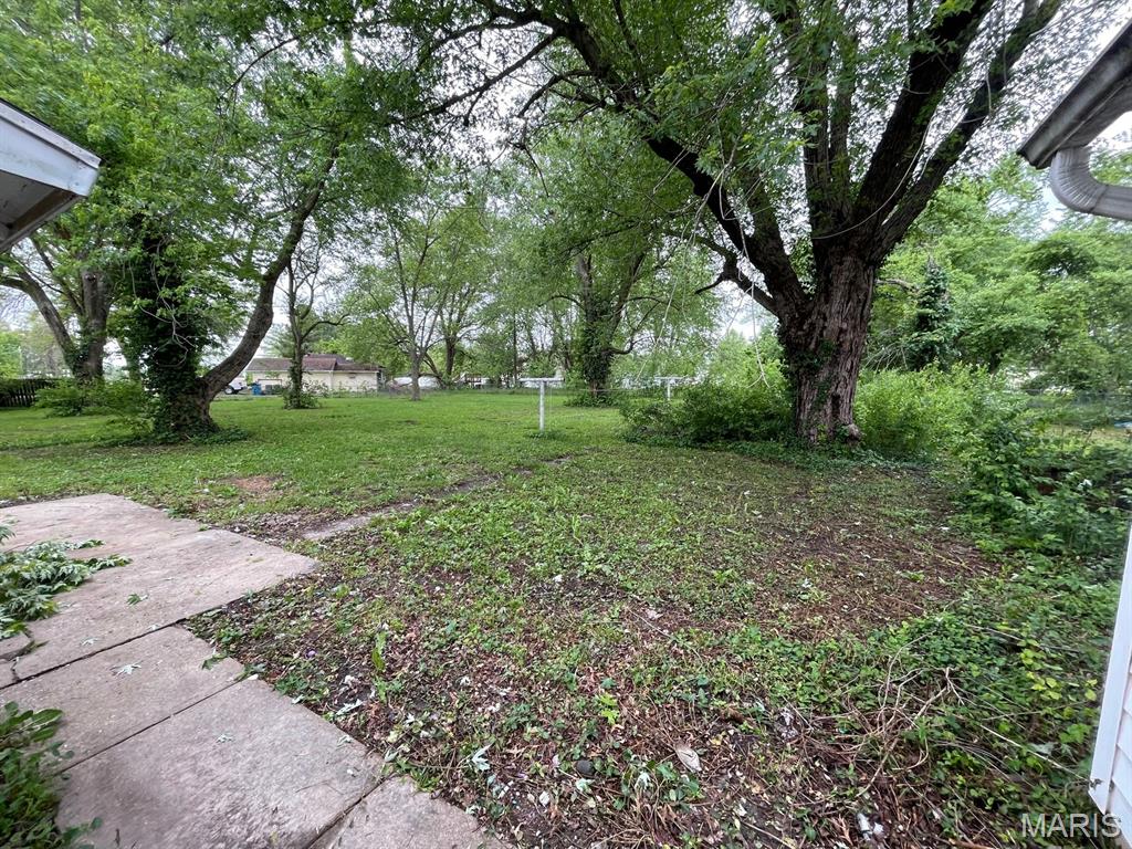 605 South Edwardsville Road Worden, IL 62097 - Photo 4 of 25