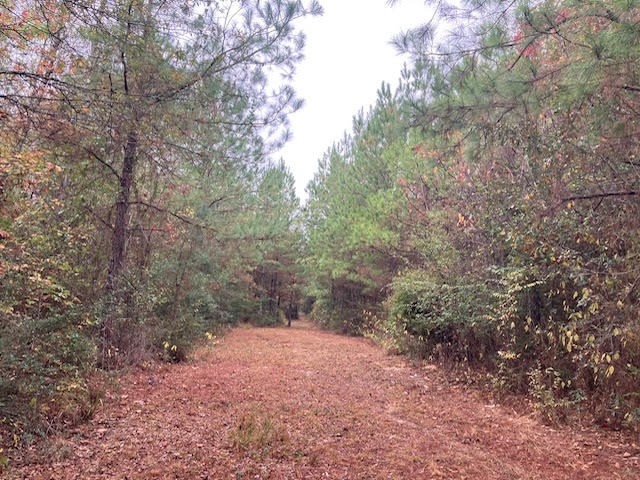 0 East Lewiston Road Kentwood, LA 70444 - Photo 11 of 26 Photo 11
