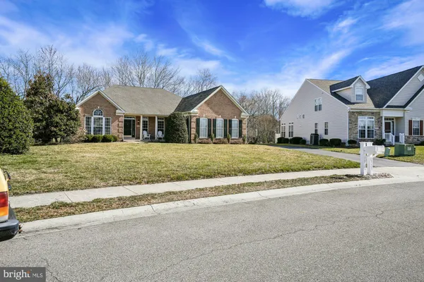 a view of a yard with large trees