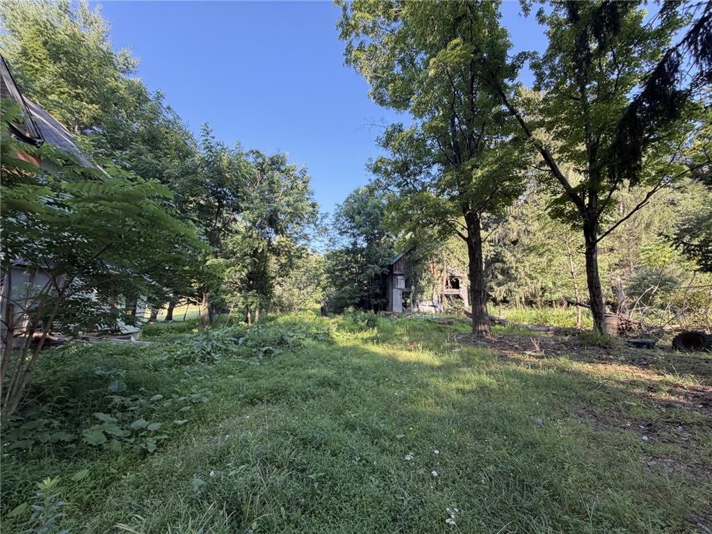 730 Ridge Road Shickshinny, PA 18655 - Photo 13 of 44 A verdant, overgrown lot with mature trees and a glimpse of rustic outbuildings.