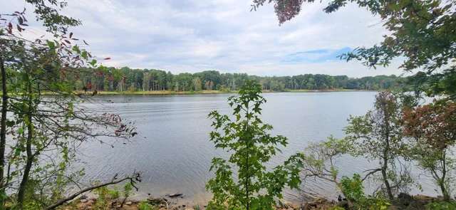 $175,000 | 681 Lula Lane, Avinger, TX 75630