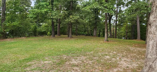 $168,000 | 681 Lula Lane, Avinger, TX 75630