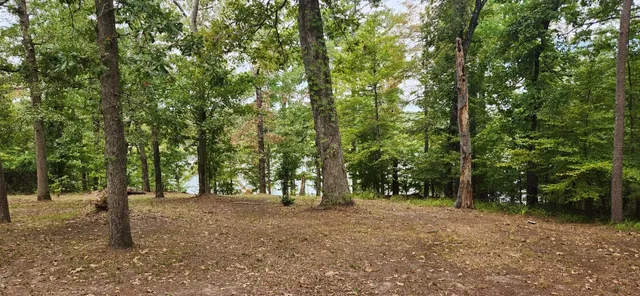 $168,000 | 681 Lula Lane, Avinger, TX 75630