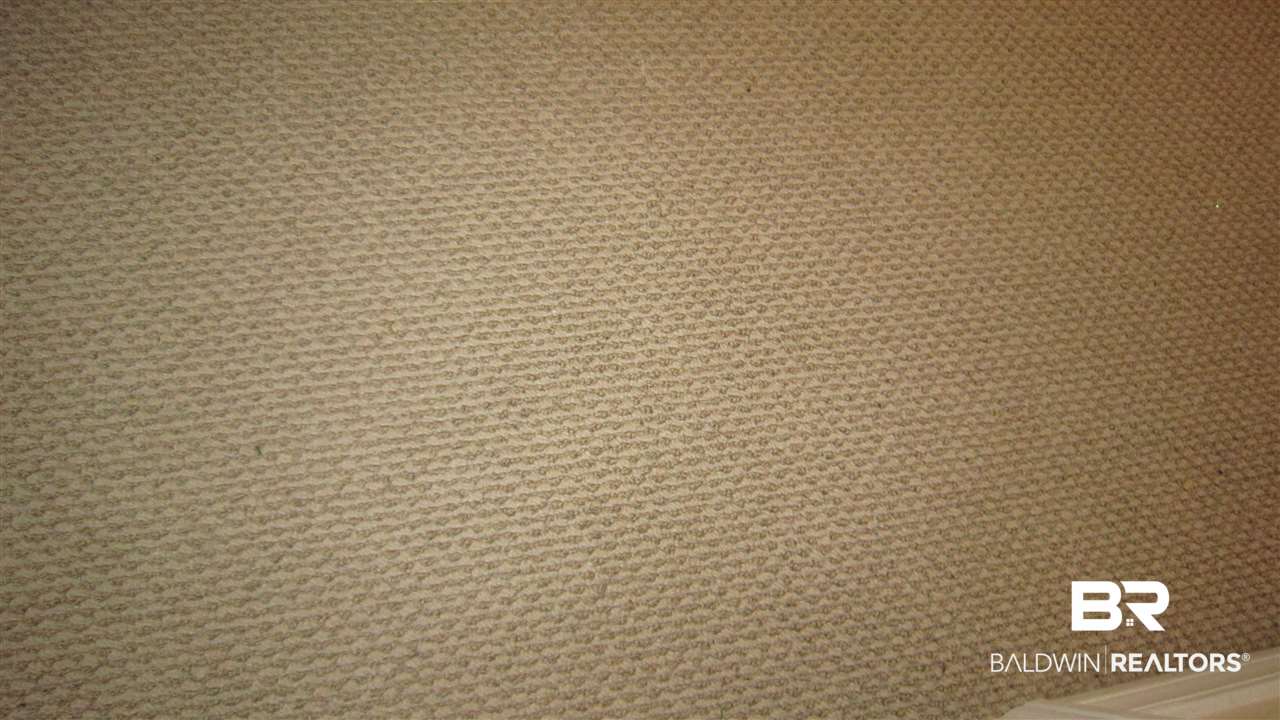 22885 McLeod Boulevard Foley, AL 36535 - Photo 18 of 20 Carpet