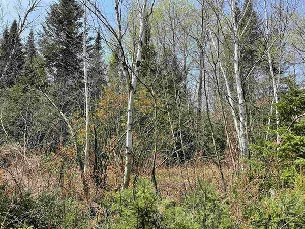 $668,500 | Simms Stream Road, North Stratford, NH 03590