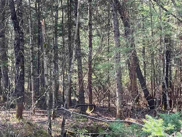 $668,500 | Simms Stream Road, North Stratford, NH 03590