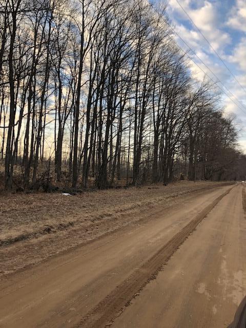 0 Williams Road Montague, MI 49437 - Photo 1 of 1 IMG_8691