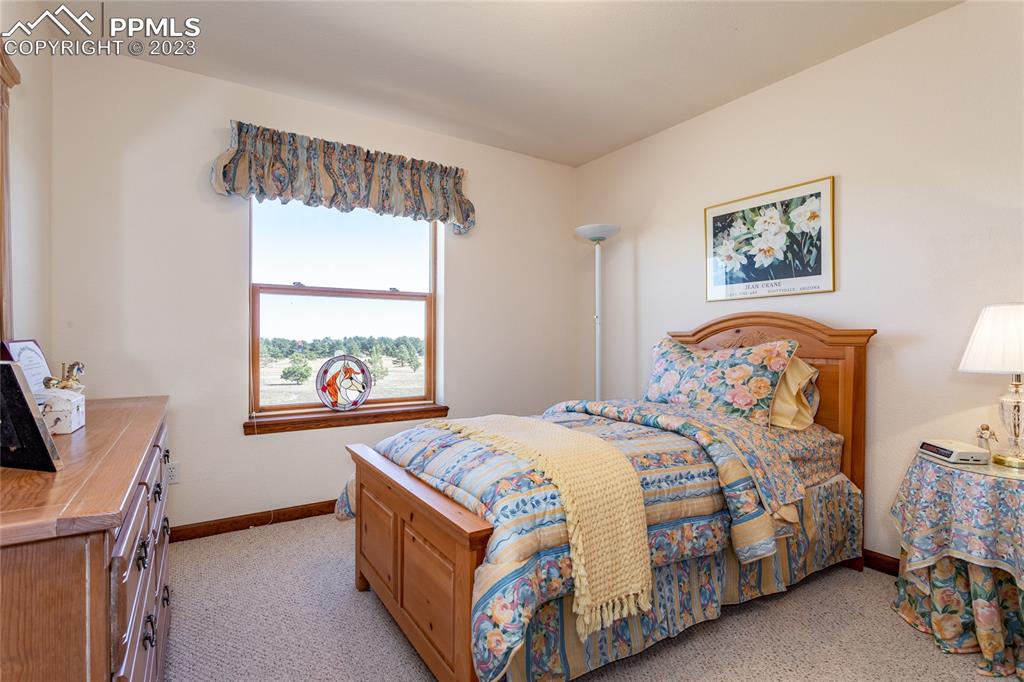 18165 Pinon Park Road Peyton, CO 80831 - Photo 24 of 44 a bedroom with a bed and a window