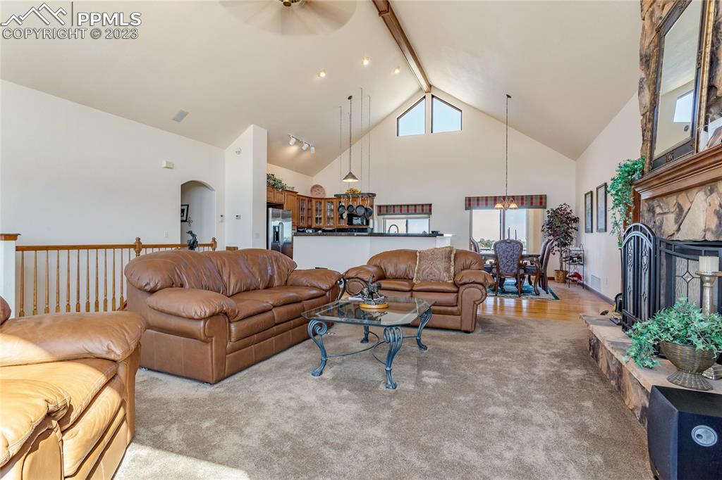 18165 Pinon Park Road Peyton, CO 80831 - Photo 5 of 44 a living room with furniture and a potted plant