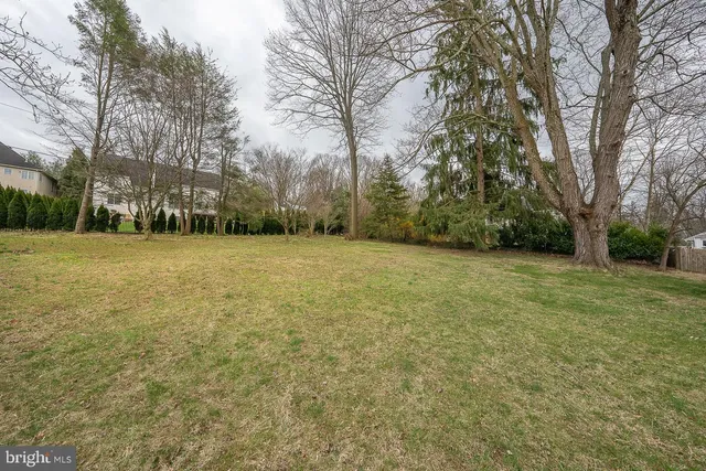 a view of a field with trees in front of it