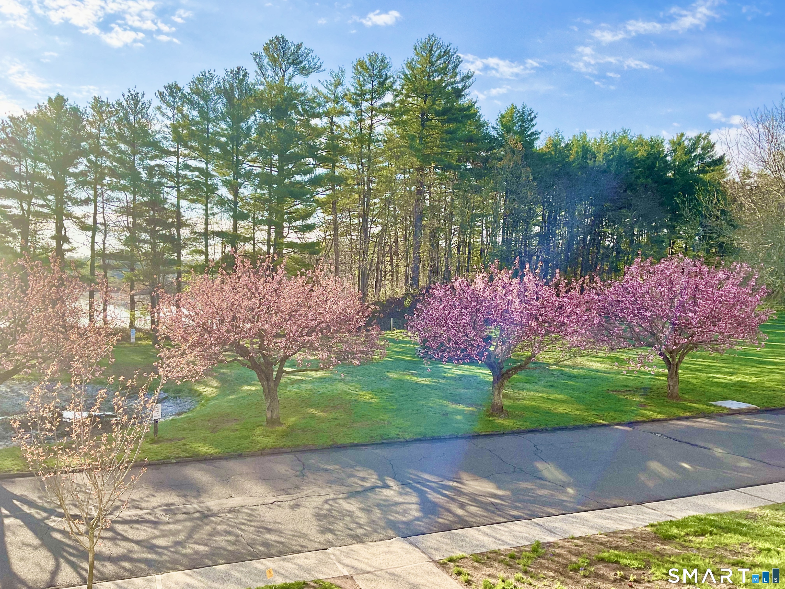 365 Mather Street, Unit 61 Hamden, CT 06514 - Photo 6 of 8