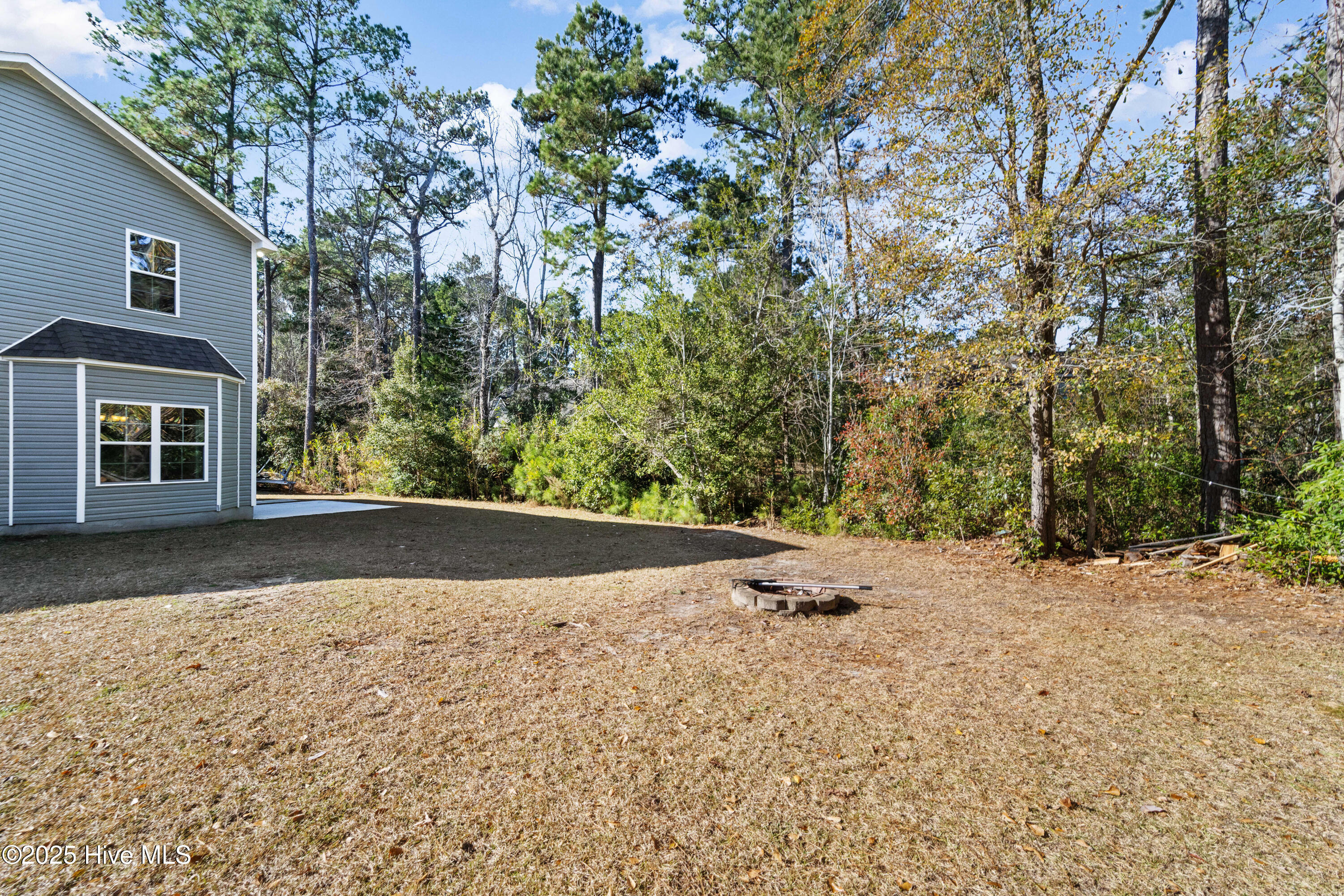 105 Rita Lane Hampstead, NC 28443 - Photo 20 of 32 Back Yard