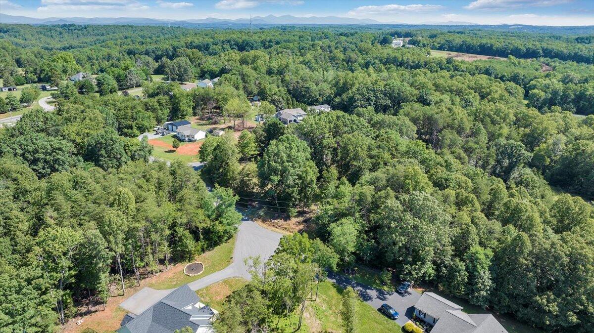 95 Stripers Landing Road Moneta, VA 24121 - Photo 3 of 27 02-DJI_20250620084336_0018_D_MIB